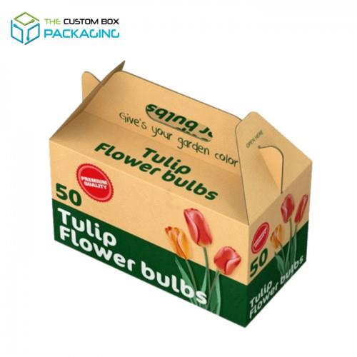 Corrugated Boxes