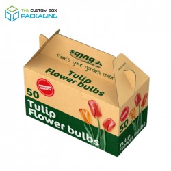 Corrugated Boxes