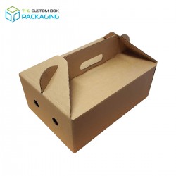 Takeout Carrier Boxes